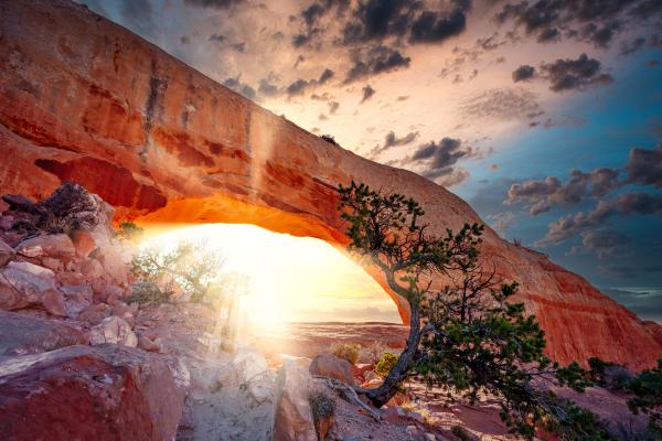 Overlanding and Photography: The Journey as Canvas