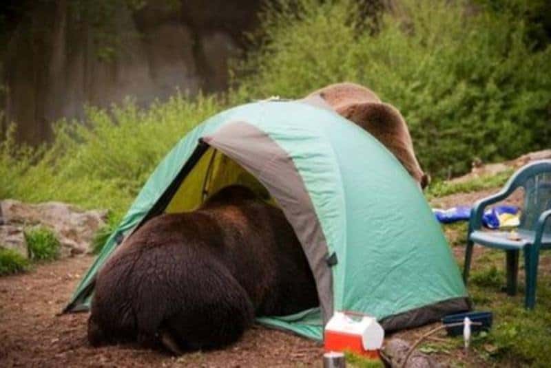 Top 10 Mistakes People make Setting Up Dispersed Campsites in the&nbsp;Wilderness.