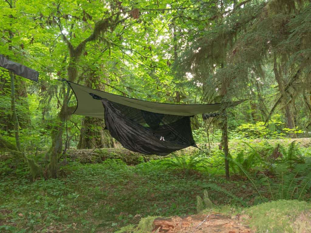 Finding and Choosing the Perfect Wilderness Camp Spot for a Hammock