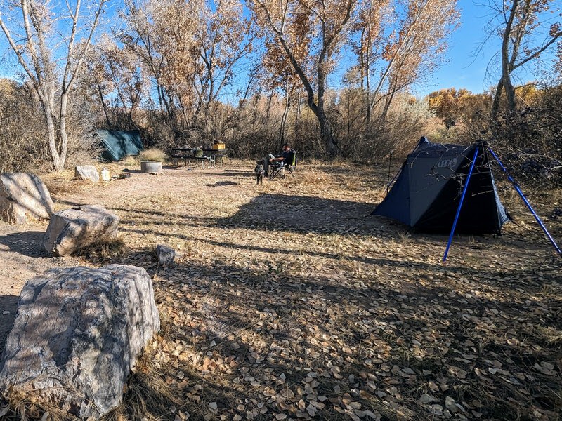 Cricket stand (left) and Nomad stand (right)