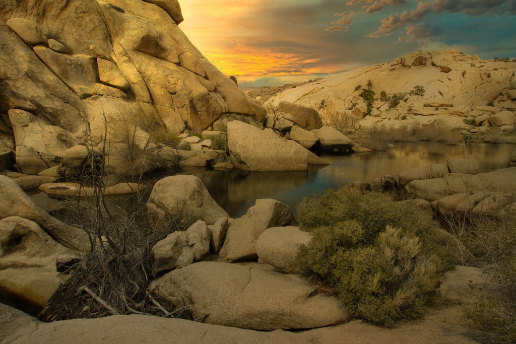 Joshua Tree Sunset