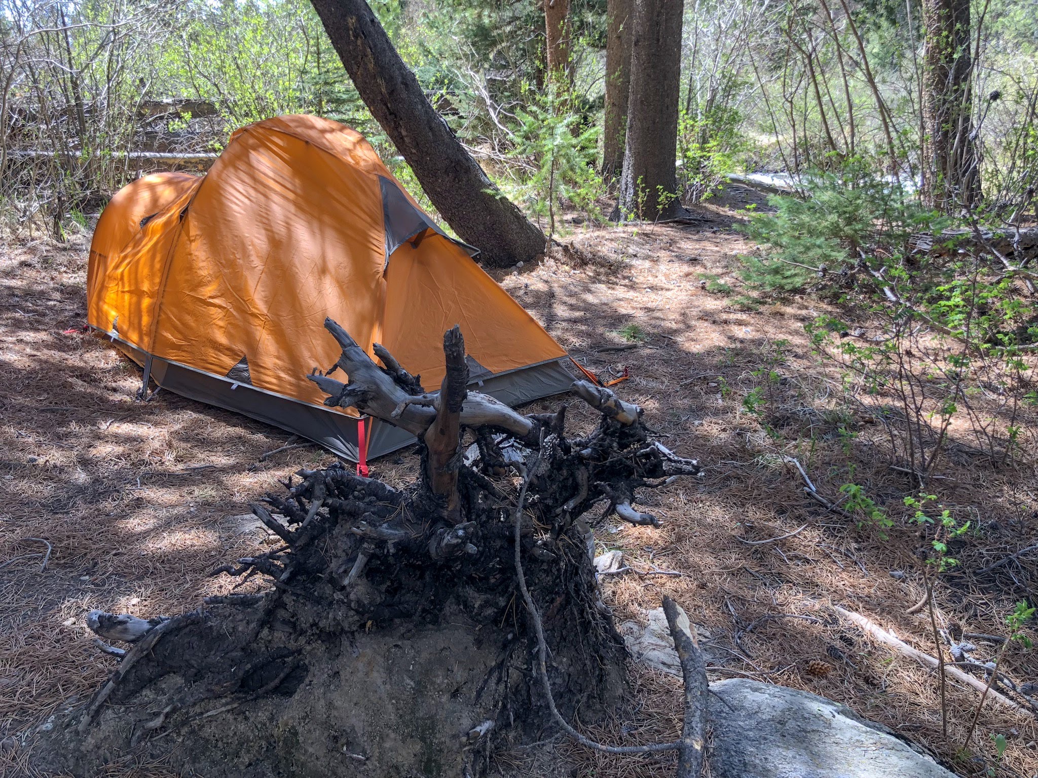 Camp near Stream