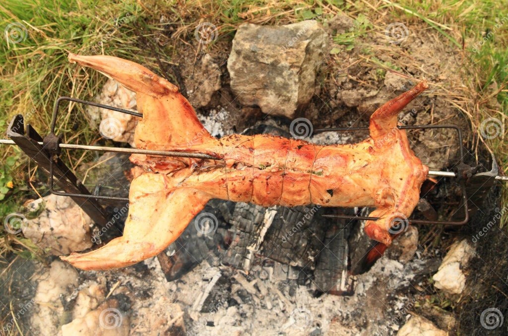 Rabbit Roasting